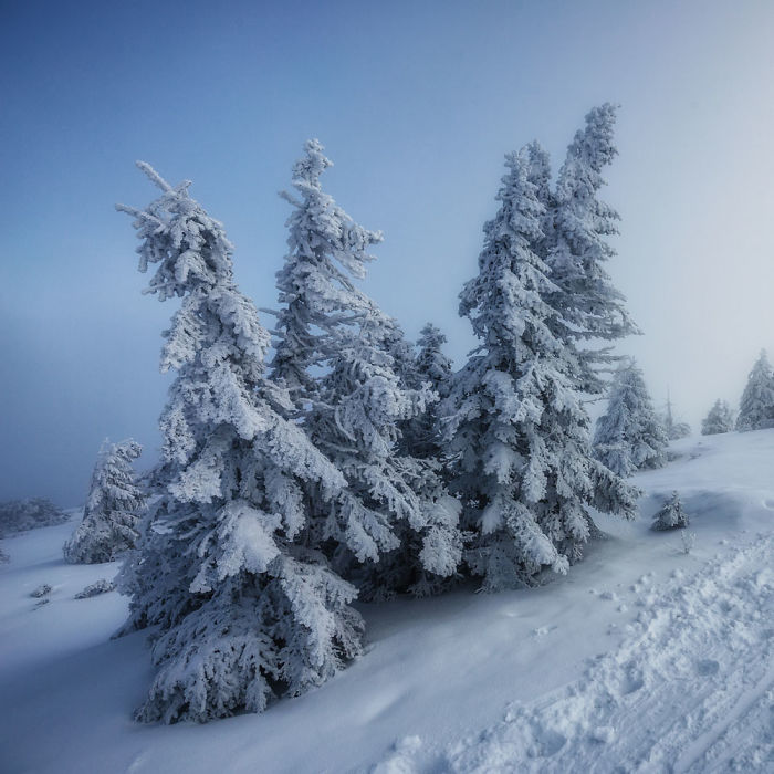 A Game Of Tones In The Clouds