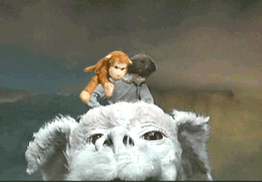 The Never Ending Gif (sorry The Nothing Got To Your Kitty First..)