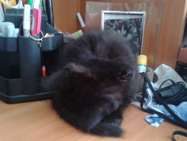 When You Try To Summon Satan, But Fall Asleep In The Action.