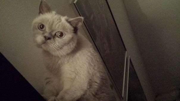 Woke Up Like This.. Just In Time..