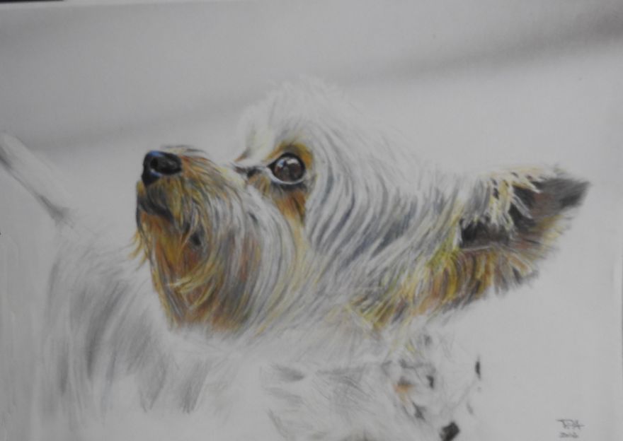 My Attempts At Photo-Realistic Images Using Pencil