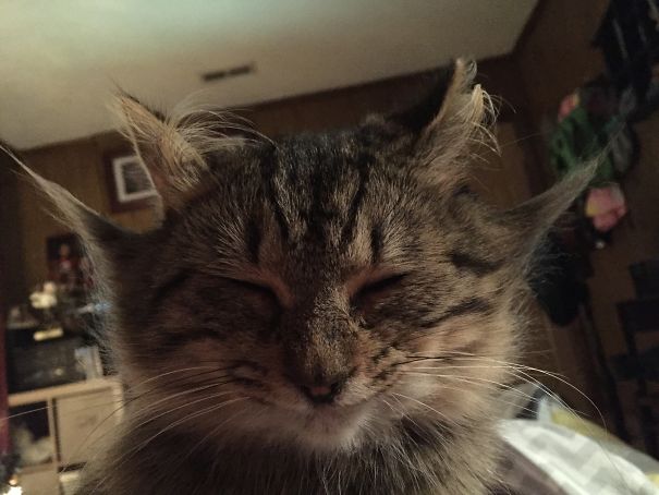 Plotting You Demise Humans