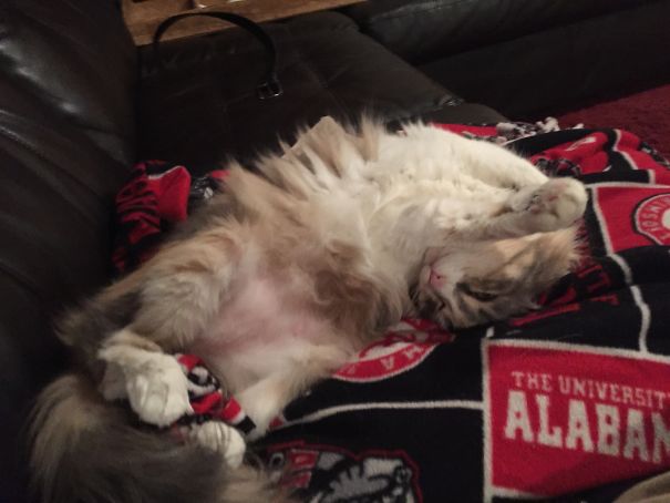 Think She Is Possessed