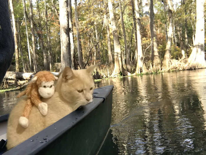 Ginnie Springs Florida