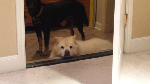 First Time After I Returned Home From College