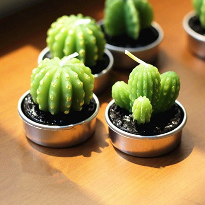 We Create Succulent-Shaped Candles