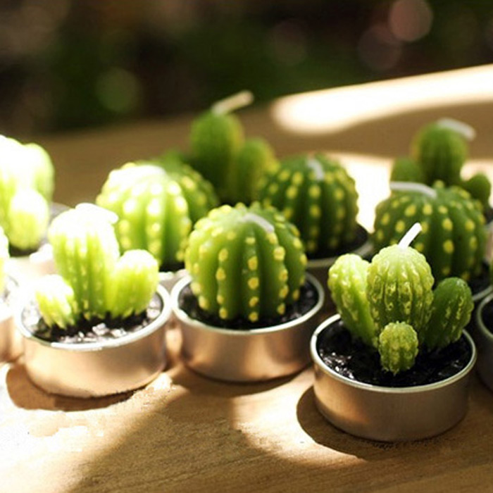 We Create Succulent-Shaped Candles