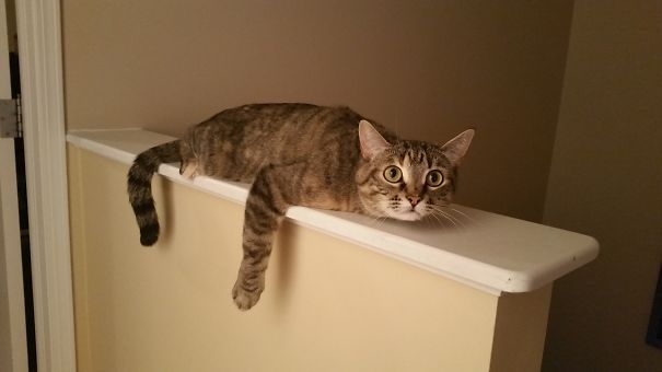 She Is About To Drip