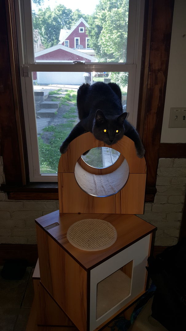 Cat On Bald Mountain.