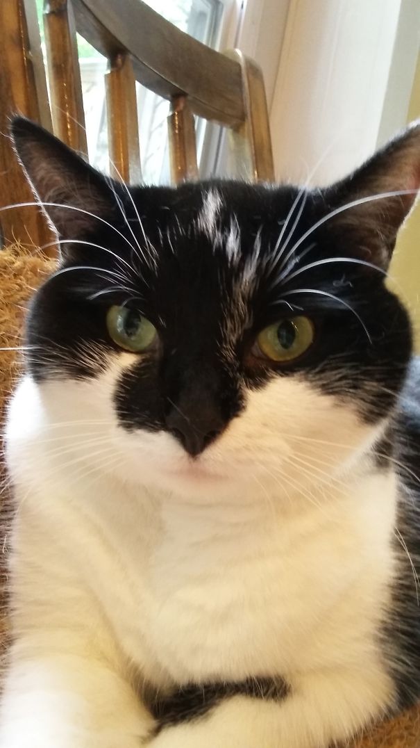 From Resting Bitch Face To Resting Oreo Face...