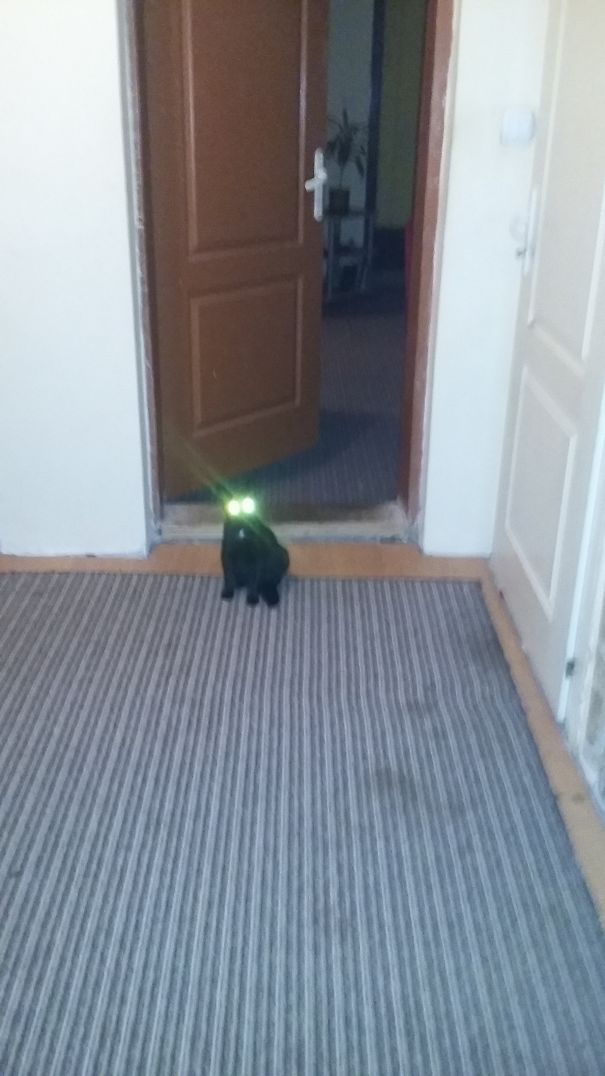 Laser Eyes Demon
