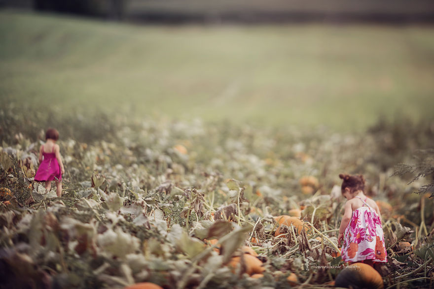 I Fell In Love With Freelensing