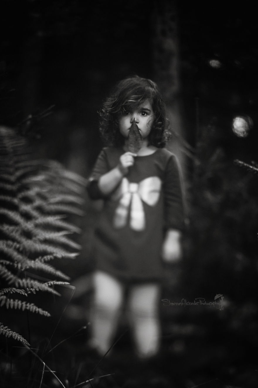 I Fell In Love With Freelensing