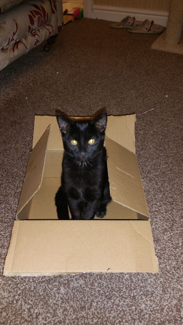 Spawn Of Satan Delivered.