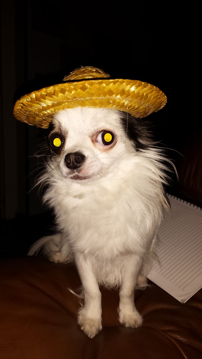 His Face Says It All