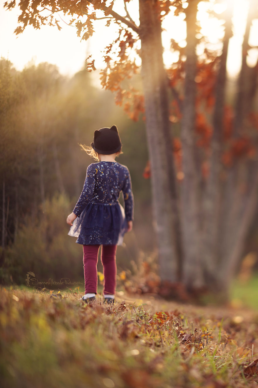 I Fell In Love With Freelensing I Fell In Love With Freelensing