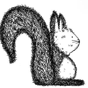 Mischa van den Brandhof