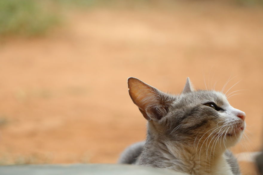 A Visit To Gwassi In Kenya