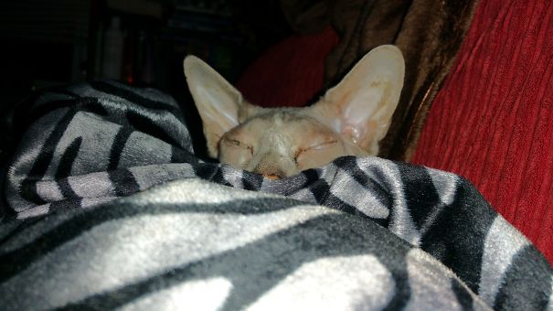 Im Sure She Is Plotting My Death Right Now