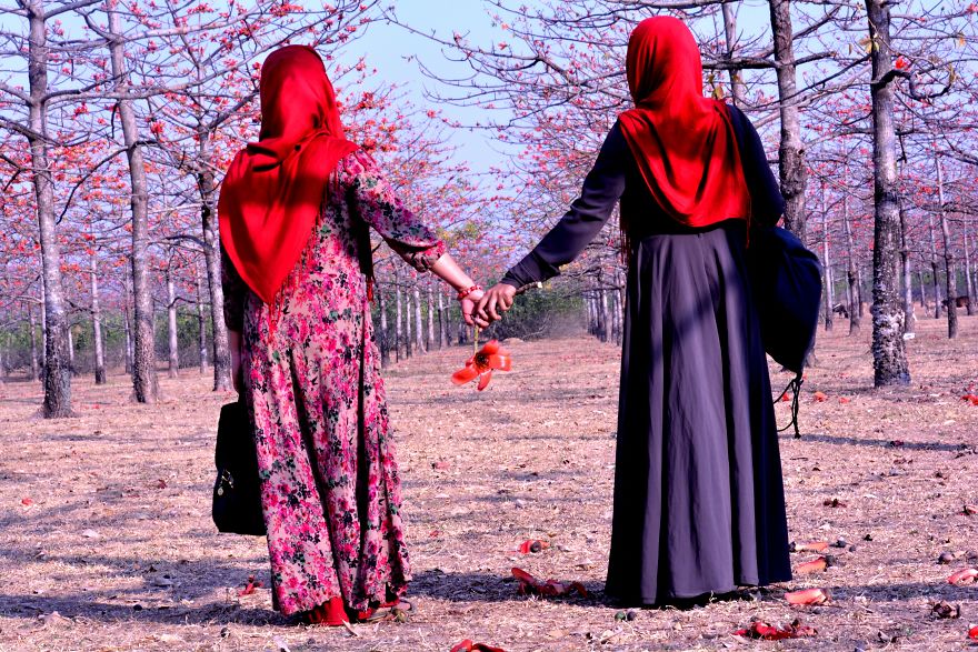 A Natural Cotton Garden, Which Is Locally Known As Shimul Bagan