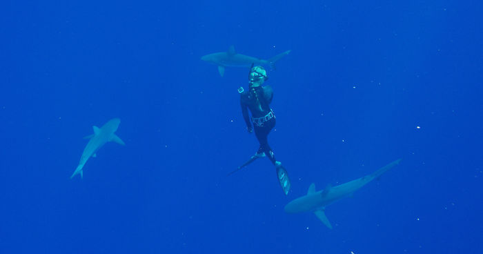 I Filmed For My Documentary “She Is The Ocean” Amazing Story Of “Shark Whisperer” Ocean Ramsey – Woman Who Swim With The Sharks Around The World And Helping To Save Them.