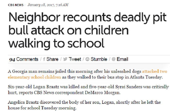 Actual. Vicious. Pit Bull Attack.