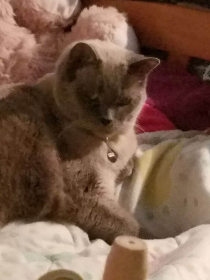 His First Night Home: Already Plotting Against Us.