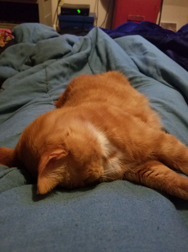 Kaz Sometimes Melts Face-down.