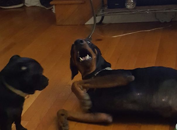 When He Found Out He Wasn't Human!