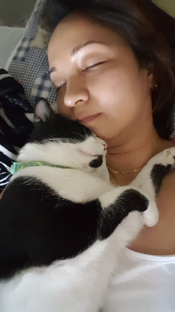 He Just Melted Into A Snuggle...