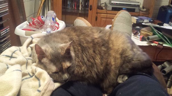 My Squashy Girl, Josie, Melted Into My Legs!