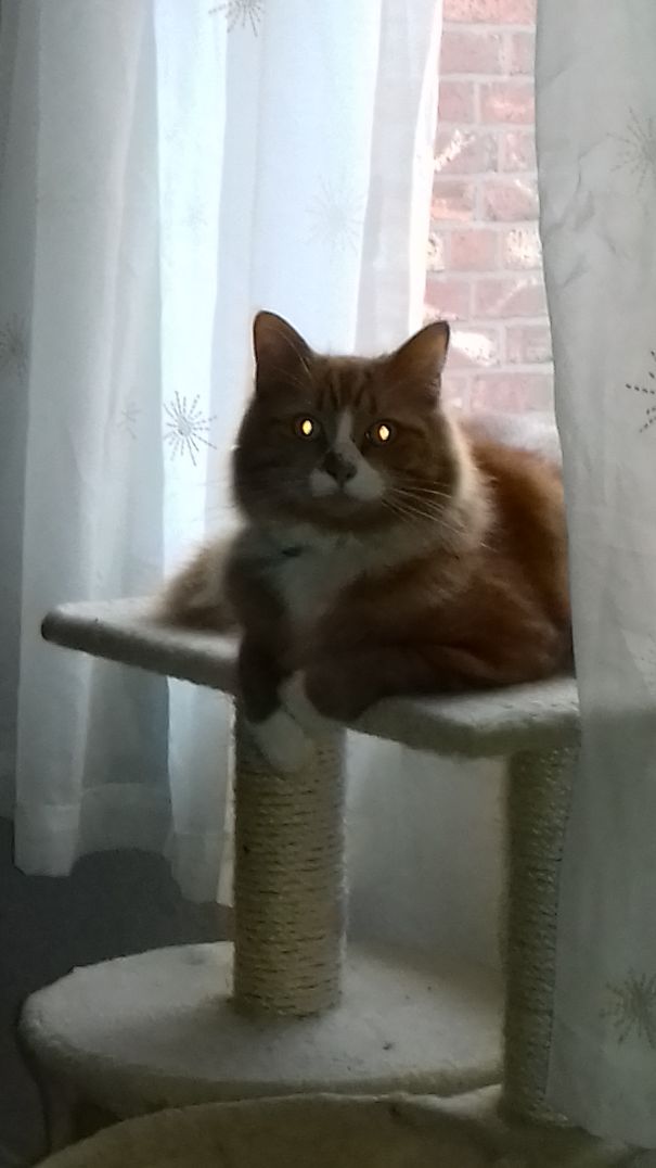 What I Wake Up To Most Mornings...