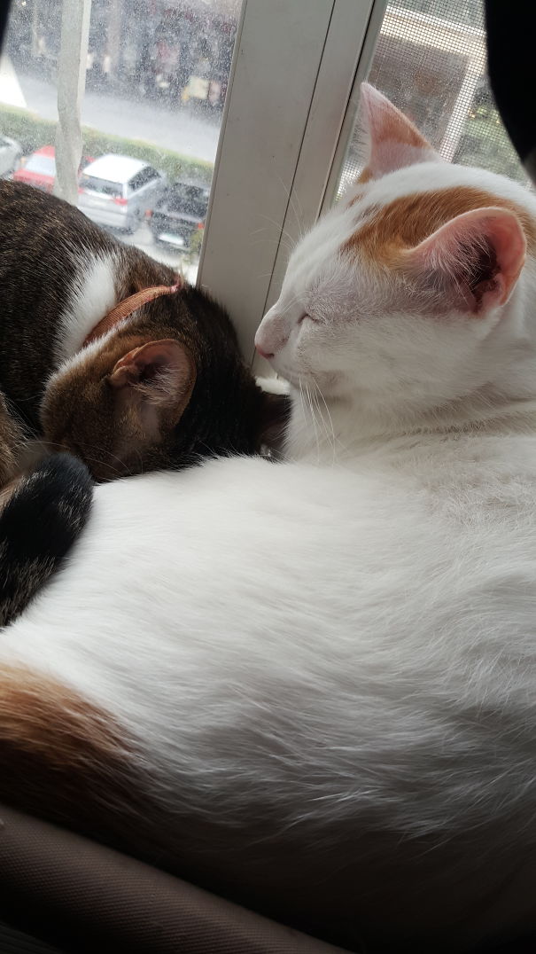 I'll Stop The World And Melt With You...