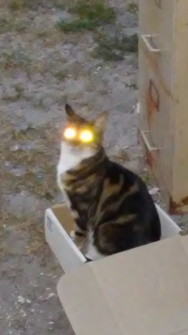 Boxes Are Recharge Portals