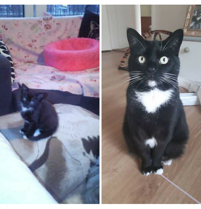 Then Vs Now, Still Wearing Black 😆