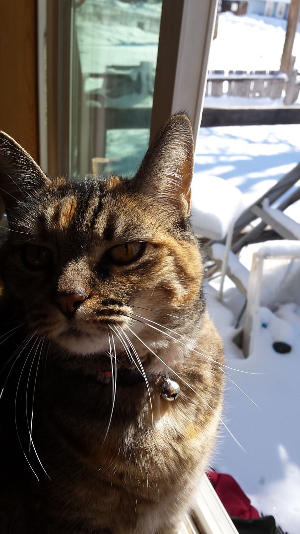 "i Have Summoned Him.....be Afraid. "