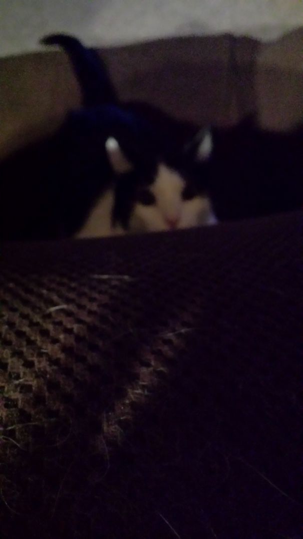 The Eyes Of A Demon..