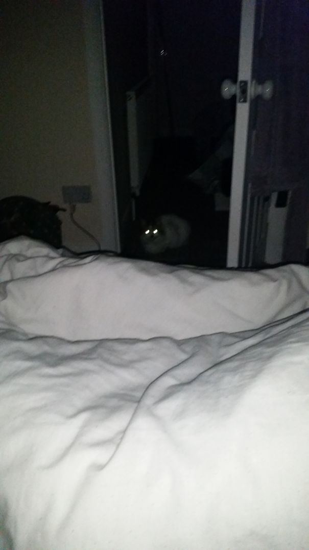 She Waits For Me To Sleep......... Every Night