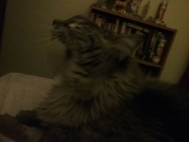 Halo Summoning Satan