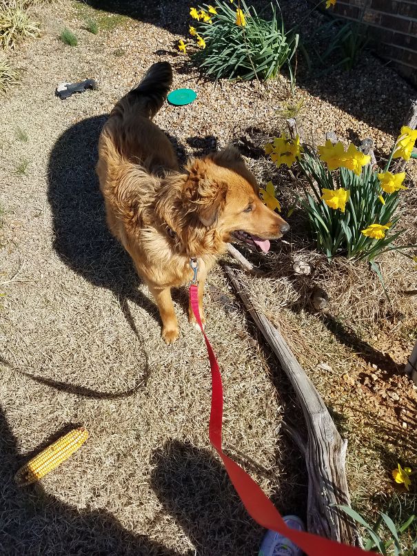 What Are These? These Were Not Here Til Now.