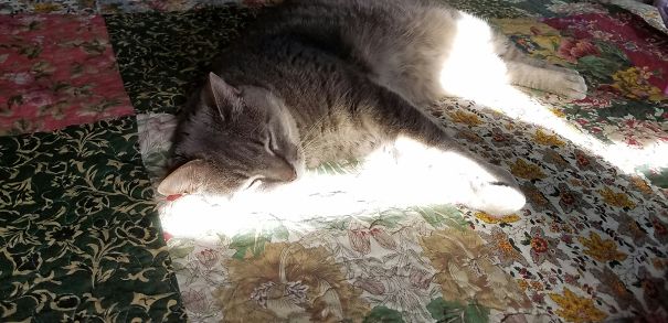 Soaking Up The Light Of The World