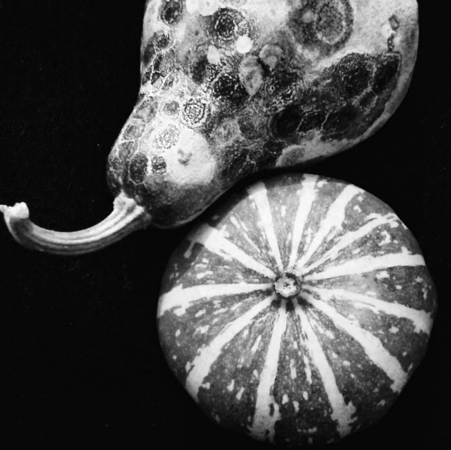 My Monochrome World.