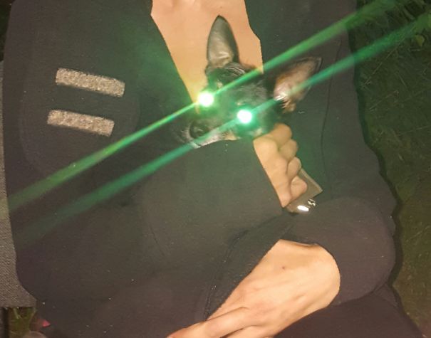 Hades The Lord (not Only Cats Are Evil ;-) )