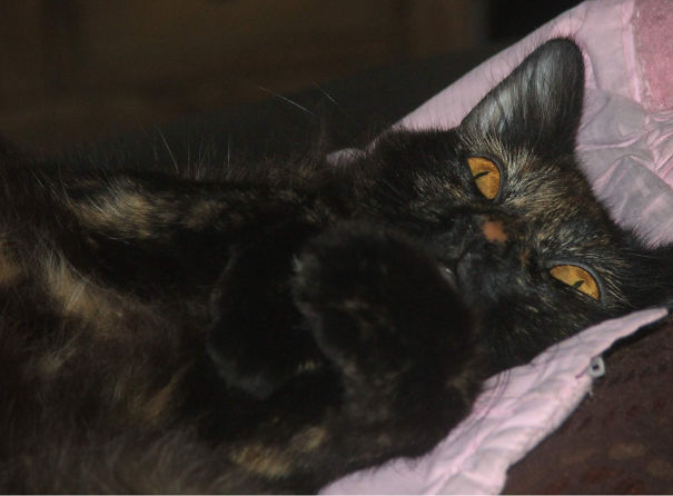 You Woke Me From My Slumber