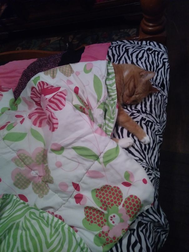 Only Nice When Hes Asleep