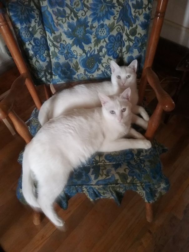 Wonder Twin Power, Deactivate!