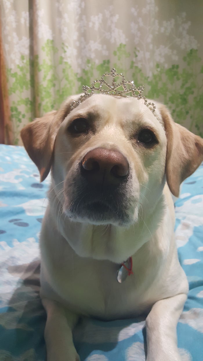 But She Don't Wanna Be A Pretty Princess.....