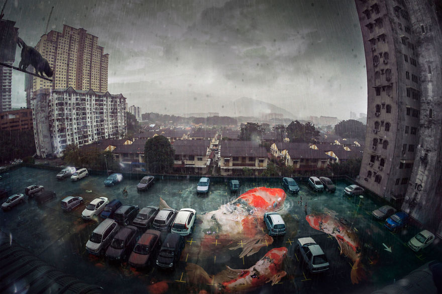 Yong Lin Tan, Malaysia (Open Competition, Enhanced)