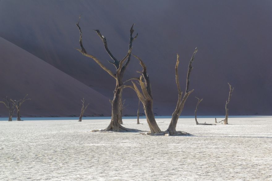 My Pictures From The Namib Desert Look Like They Were Taken On Another Planet!