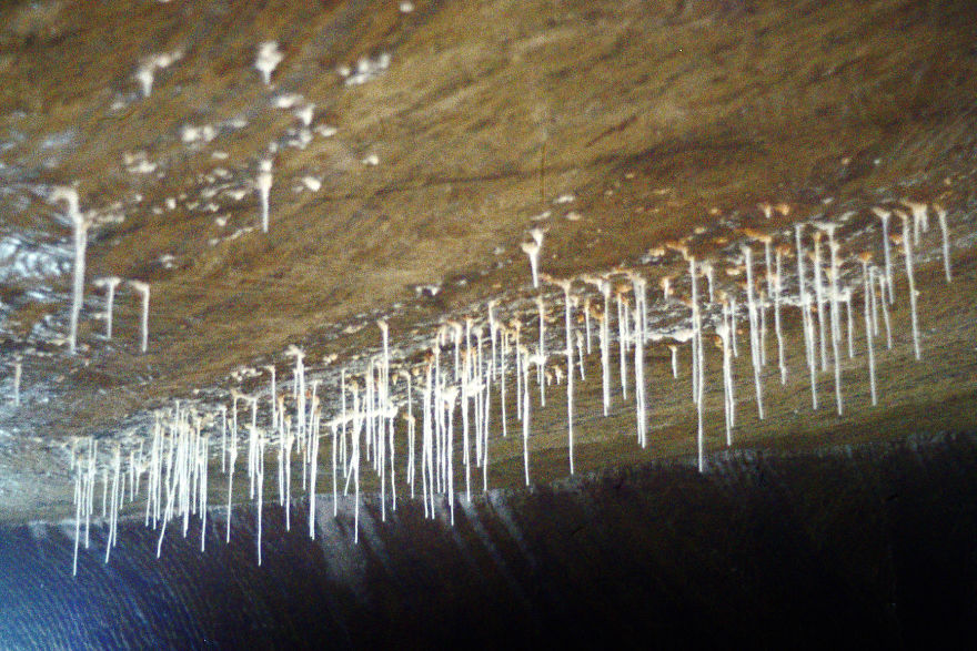 I Photographed Surfaces Of A Salt Mine In Romania To Relate Them To Poems Of My Crying Soul I Photographed Surfaces Of A Salt Mine In Romania To Relate Them To Poems Of My Crying Soul